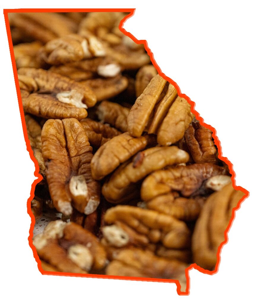 Pecan Facts…and Some Unusual History Better Halves Pecans